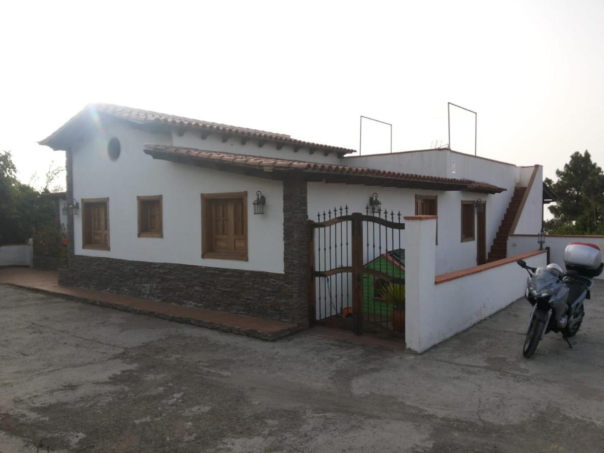 Oasis Hill Icod De Los Vinos Εξωτερικό φωτογραφία