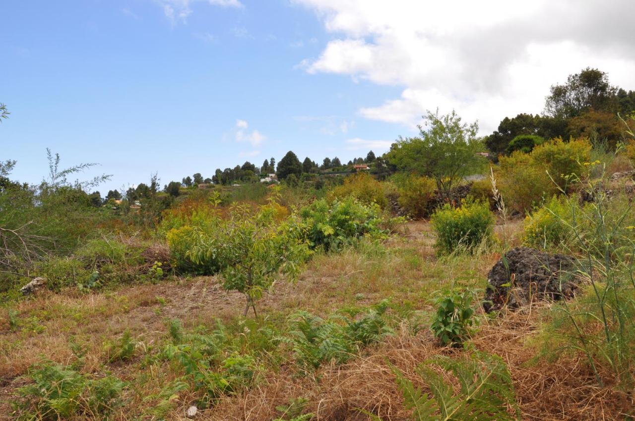 Oasis Hill Icod De Los Vinos Εξωτερικό φωτογραφία