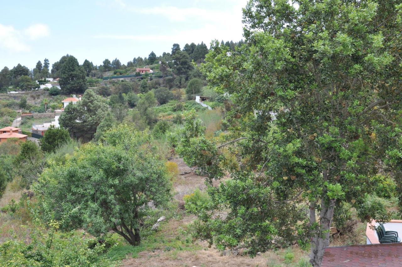 Oasis Hill Icod De Los Vinos Εξωτερικό φωτογραφία