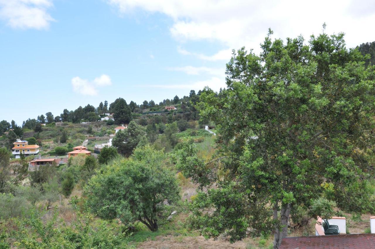 Oasis Hill Icod De Los Vinos Εξωτερικό φωτογραφία