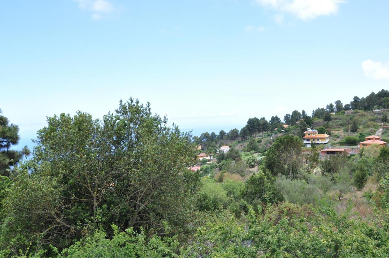 Oasis Hill Icod De Los Vinos Εξωτερικό φωτογραφία